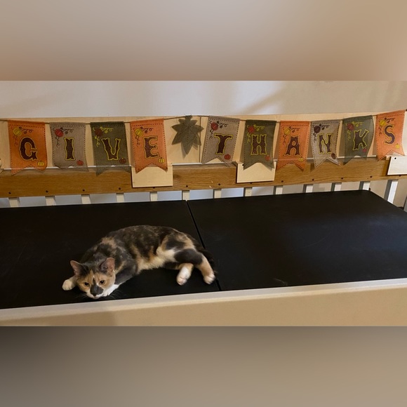 Like this listing for shows! - Picture 3 of 16